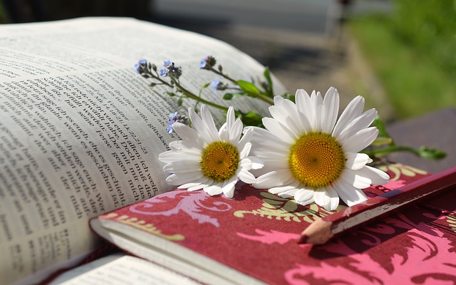 Open book with flower